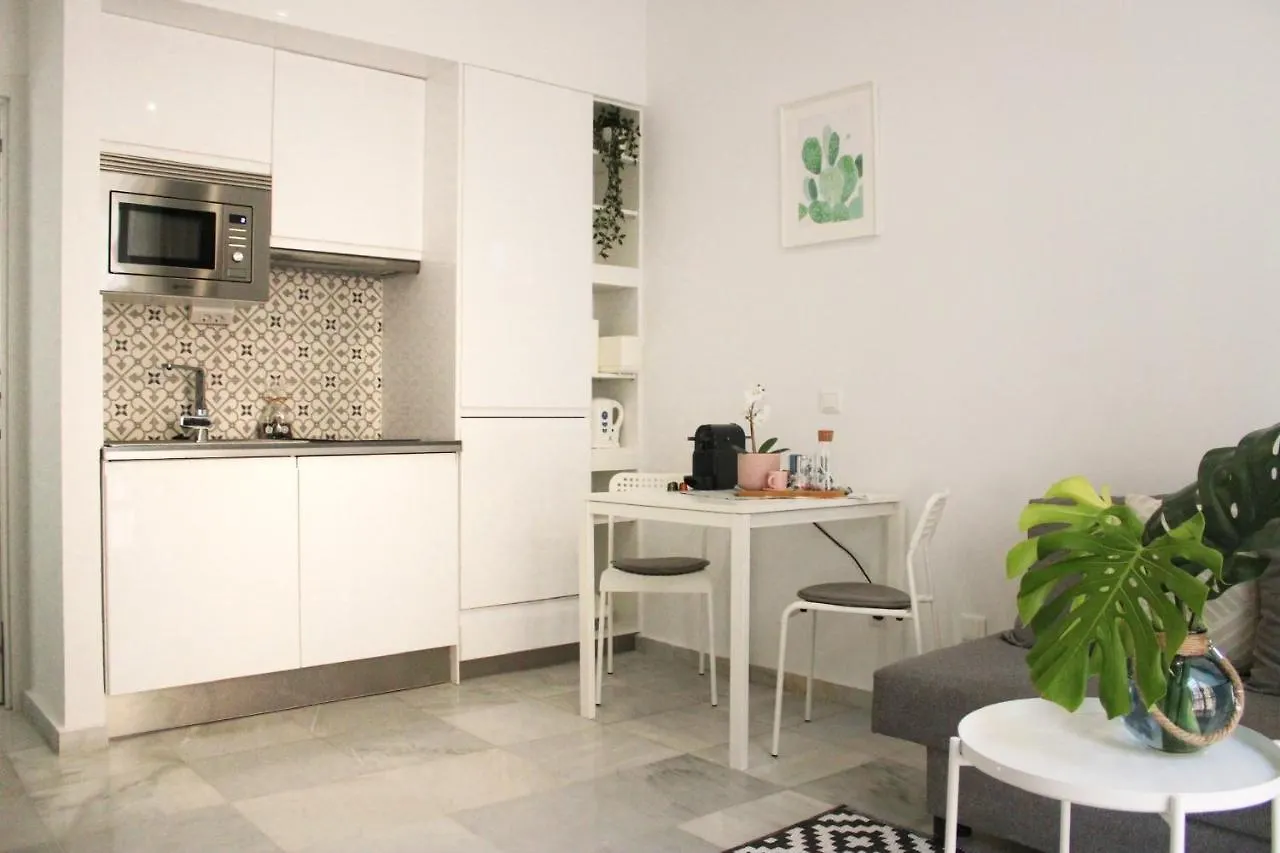 Malaga Centric Best Location And Comfort In Malaga Center Apartment